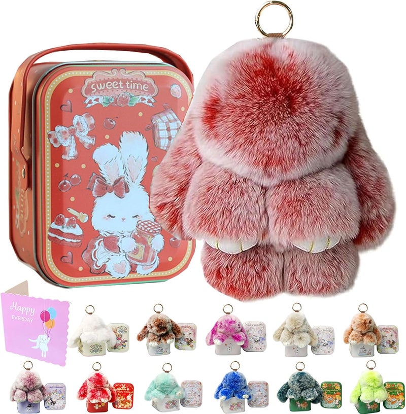 MINGRI Soft Bunny Keychain with Tin,Cute Valentines Gift Plush Keychain for Backpack,Bag Charm Gift Key Chain - Image 1